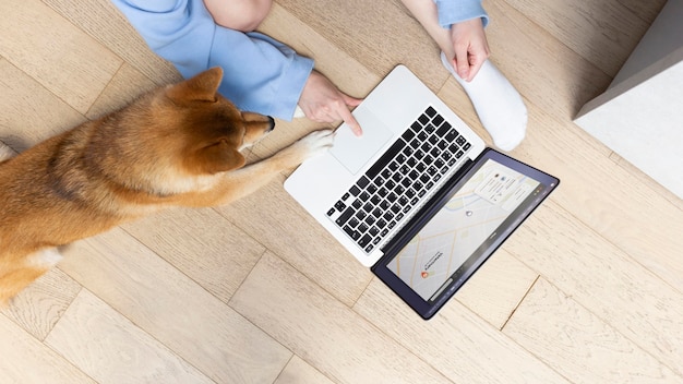 Młoda kobieta z wysokim kątem, pracująca na swoim laptopie obok swojego psa