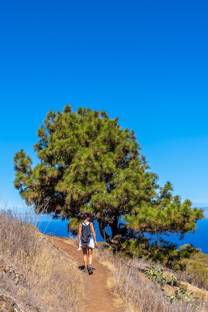 Bezpłatne zdjęcie młoda samica w pobliżu smoczego drzewa na szlaku las tricias na północy wyspy la palma