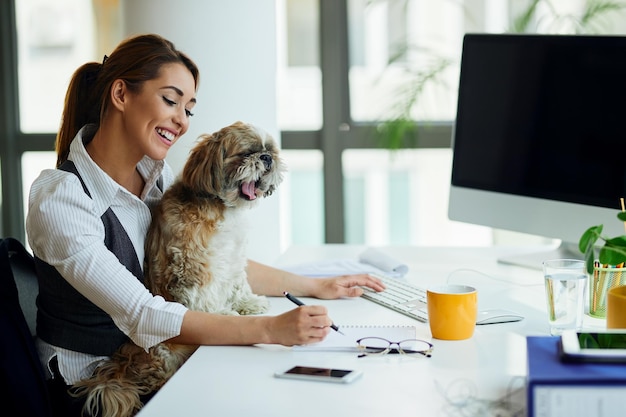 Młoda szczęśliwa kobieta pracuje w biurze, gdy pies siedzi na jej kolanach