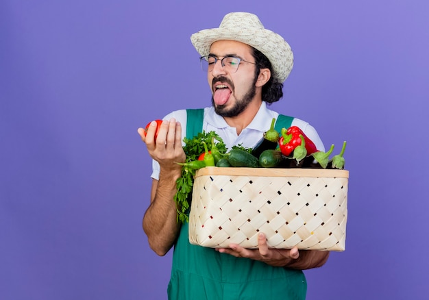 Młody brodaty ogrodnik mężczyzna ubrany w kombinezon i kapelusz trzymający skrzynię pełną warzyw patrząc na pomidora z zniesmaczoną miną stojącą nad niebieską ścianą