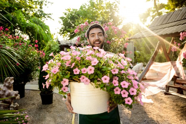 Młody przystojny ogrodnik uśmiecha się, trzymając duży garnek z kwiatami