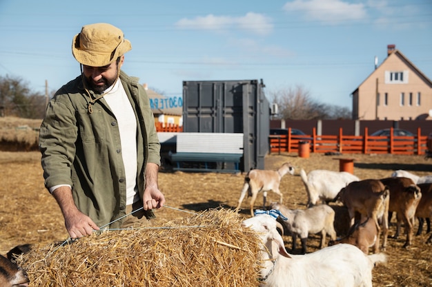 Młody rolnik karmiący swoje kozy sianem na farmie