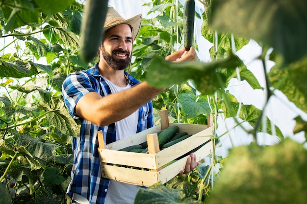 Młody rolnik-przedsiębiorca w kapeluszu, który uprawia i produkuje świeże organiczne warzywa