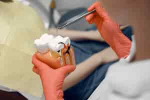 Bezpłatne zdjęcie model zęba u dentysty lekarz pokazuje pacjentowi ząb odbiór w gabinecie stomatologicznym