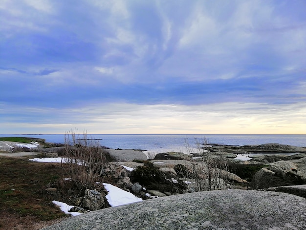 Morze otoczone skałami pokrytymi gałęziami pod zachmurzonym niebem podczas zachodu słońca w Norwegii