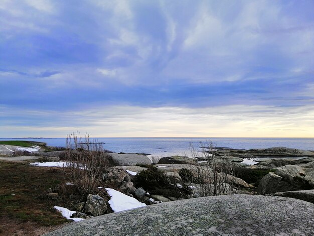 Morze otoczone skałami pokrytymi gałęziami pod zachmurzonym niebem podczas zachodu słońca w Norwegii