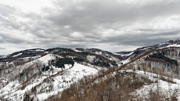 Bezpłatne zdjęcie mountain zlatibor, serbia w zimie.