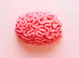 Bezpłatne zdjęcie mózg zrobiony z różowej plasteliny na jasnoróżowej powierzchni
