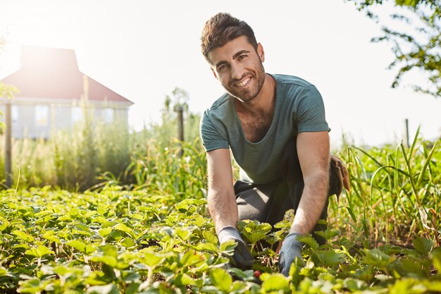 Na zewnątrz portret dojrzałego, przystojnego młodego rolnika w niebieskiej koszulce, uśmiechnięty, zbierający jagody ze swojego ogrodu, patrząc w kamerę z wyrazem zadowolonej twarzy