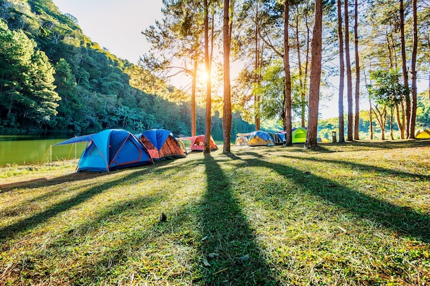 Namioty kempingowe pod sosnami ze światłem słonecznym nad jeziorem Pang Ung, Mae Hong Son w Tajlandii.