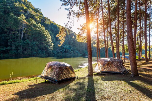 Namioty kempingowe pod sosnami ze światłem słonecznym nad jeziorem Pang Ung, Mae Hong Son w Tajlandii.