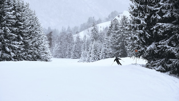 Narciarz jadący przez porośnięte drzewami stoki ośrodka narciarskiego Alpe d Huez we francuskich Alpach