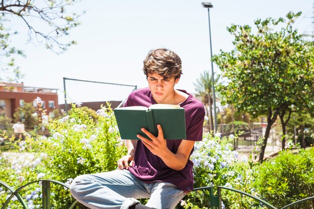 Nastolatka czytanie na ogrodzeniu w parku