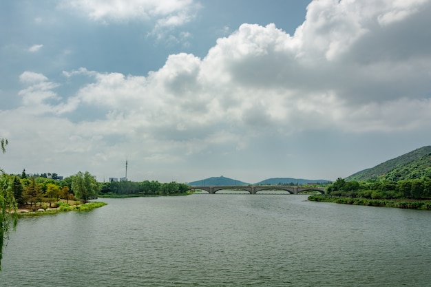 natura drzewa Horizonte słońce białe