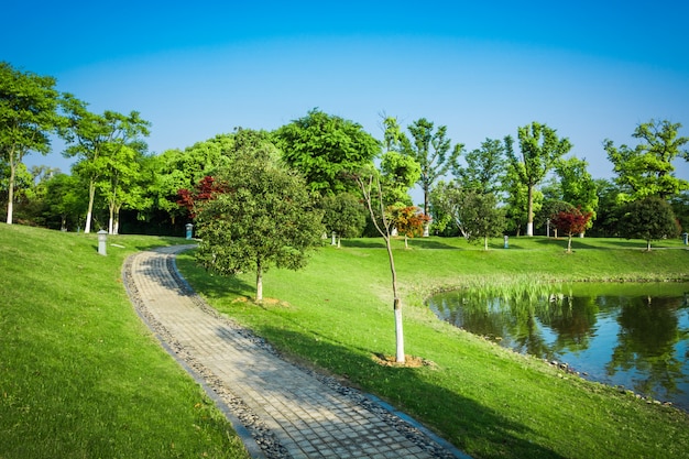 Natura park na świeżym powietrzu i ulica chodnik drogowy