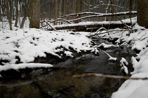 Naturalny piękny krajobraz z małym strumieniem