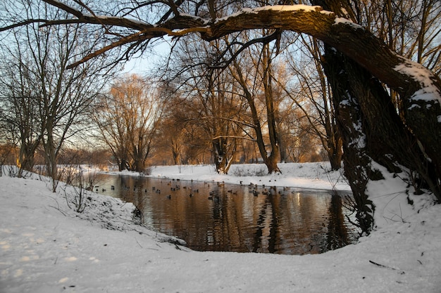 Naturalny piękny krajobraz z rzeką