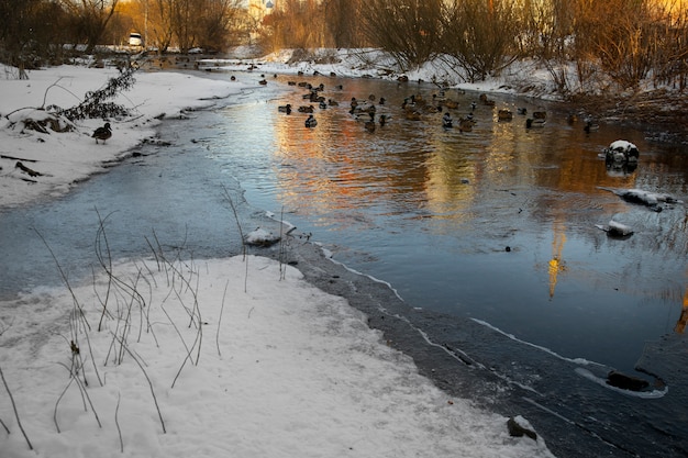 Naturalny piękny krajobraz z rzeką