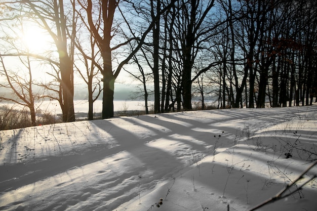 Naturalny Piękny Zimowy Krajobraz