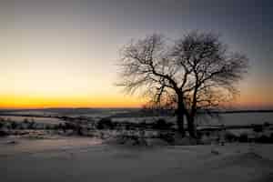 Bezpłatne zdjęcie naturalny piękny zimowy krajobraz