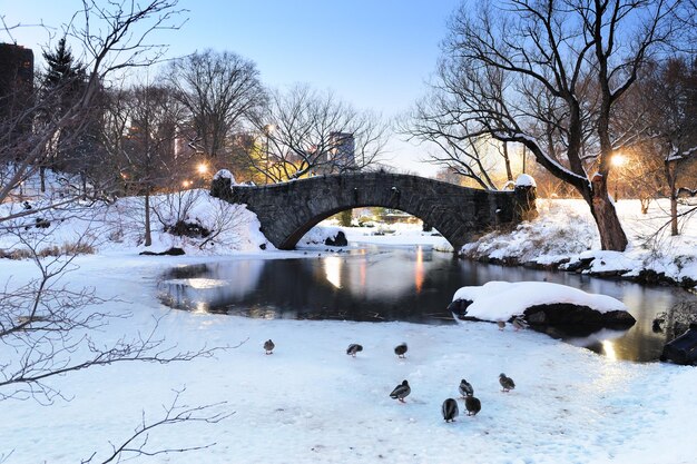 New York City Manhattan Central Park w zimie z mostem.