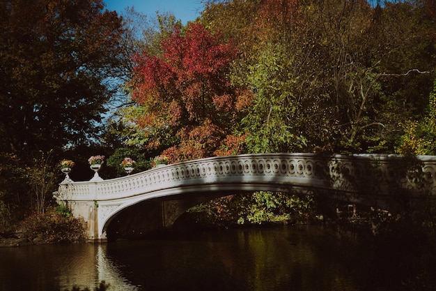 New York Manhattan Central Park jesienią, most nad jeziorem.