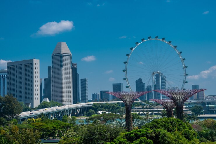 Bezpłatny plik Zdjęcie niesamowite ujęcie ogrodów gardens by the bay w singapurze