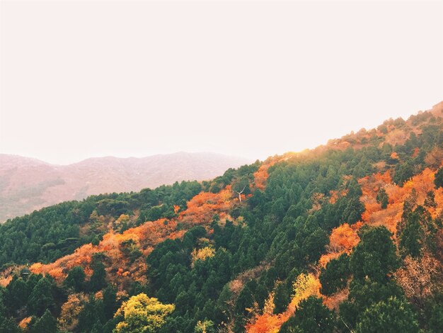 Niesamowity jesienny krajobraz z kolorowymi drzewami i górami