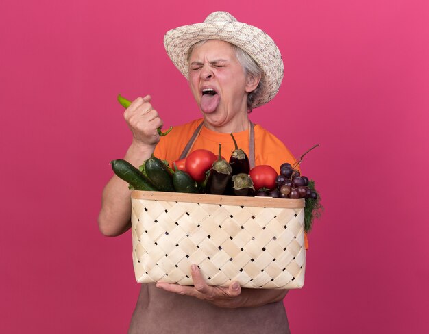 Niezadowolona starsza ogrodniczka w kapeluszu ogrodniczym wystaje język trzymając kosz warzyw i ostrą paprykę