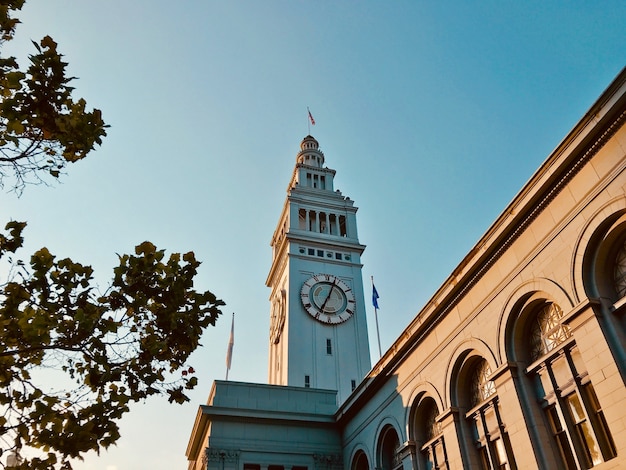 Niski kąt strzału Ferry Building w San Francisco, w pobliżu zielonych drzew pod pięknym niebem