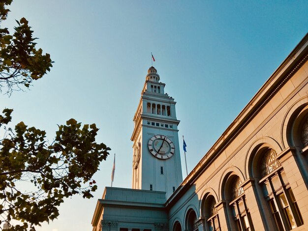 Niski kąt strzału Ferry Building w San Francisco, w pobliżu zielonych drzew pod pięknym niebem