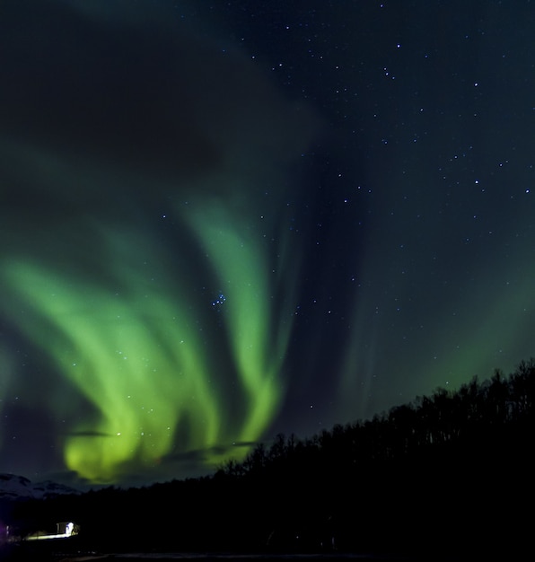 Niski kąt zielonej zorzy polarnej w Norwegii