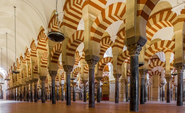 Bezpłatne zdjęcie niskie ujęcie przedstawiające wzorzyste kolumny ustawione w jednej linii wewnątrz majestatycznej katedry w hiszpanii