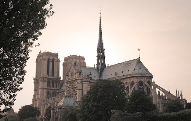 Bezpłatne zdjęcie notre dame de paris we francji