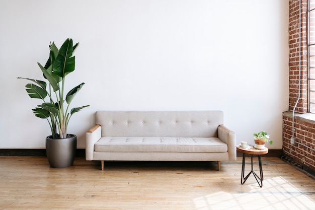 Nowoczesna beżowa kanapa z tkaniny i roślina w salonie