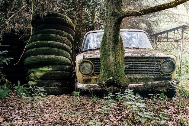 Obraz porzucony i porzucony samochód w lesie