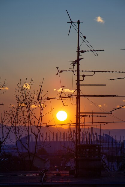 Obraz sylwetki drzewa i anteny telewizyjnej na dachu podczas zachodu słońca w Zagrzebiu w Chorwacji
