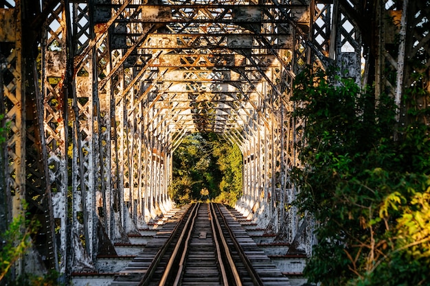 Bezpłatne zdjęcie obraz tajemniczej linii kolejowej otoczonej drzewami
