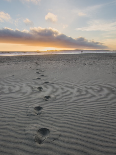 Bezpłatne zdjęcie odciski stóp w szarym piasku
