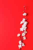 Bezpłatne zdjęcie oddział wiśniowy kwiat na czerwono