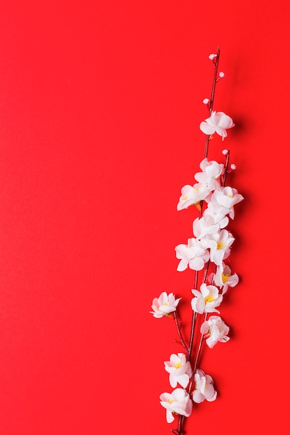 Oddział wiśniowy kwiat na czerwono