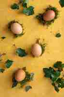 Bezpłatne zdjęcie odgórnego widoku wiązka jajka na stołowym pojęciu
