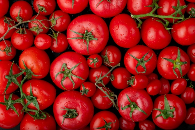 Odgórny widok dojrzali świezi pomidory z wodą opuszcza na czarnym tle