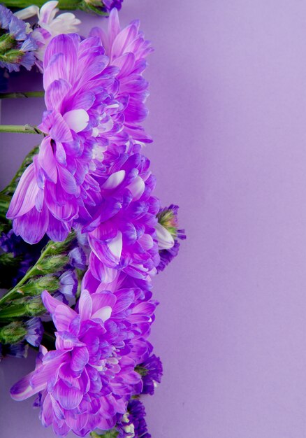 Odgórny widok fiołkowa kolor chryzantema kwitnie bukiet odizolowywającego na lilym koloru tle