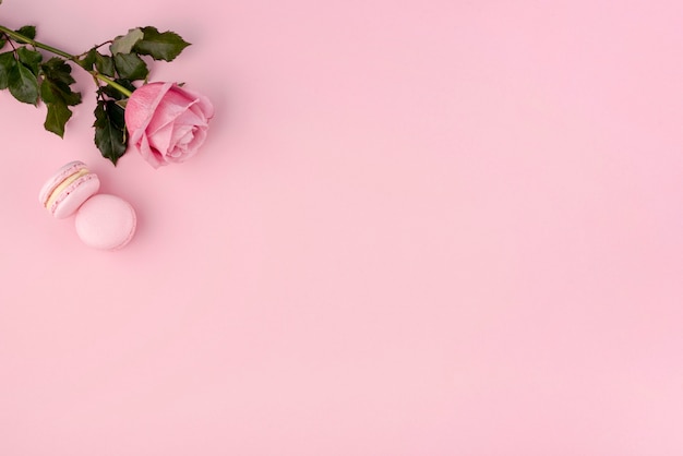 Odgórny widok macarons z różaną i kopii przestrzenią