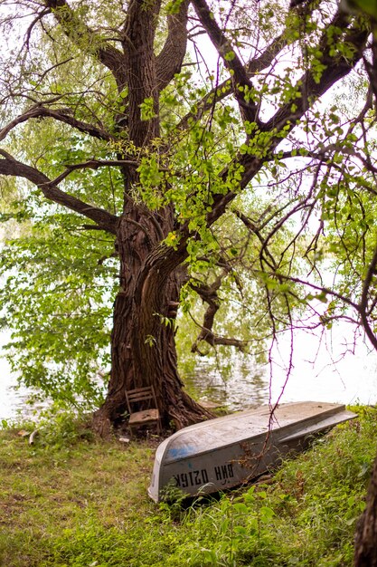 Odwrócona łódź na ziemi pokryta trawą na brzegu jeziora