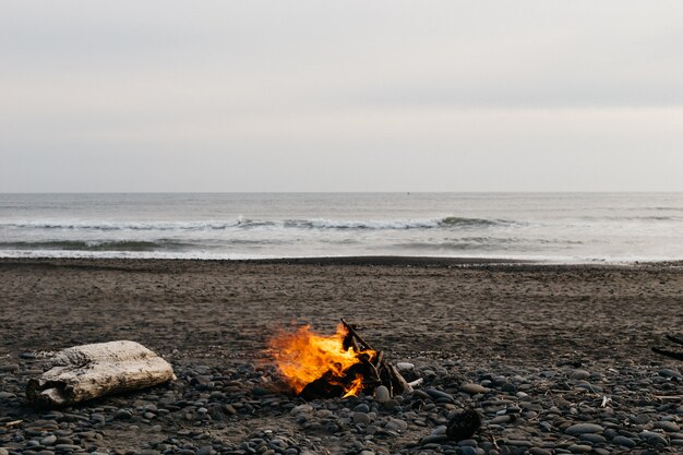 ognisko na plaży