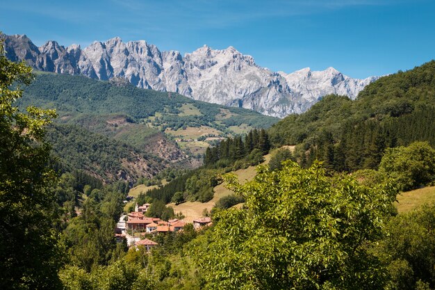 Ogólny widok Areos, Cosgaya. gmina Camaleo, Kantabria, Hiszpania