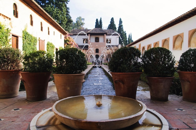 Bezpłatne zdjęcie ogród alhambry