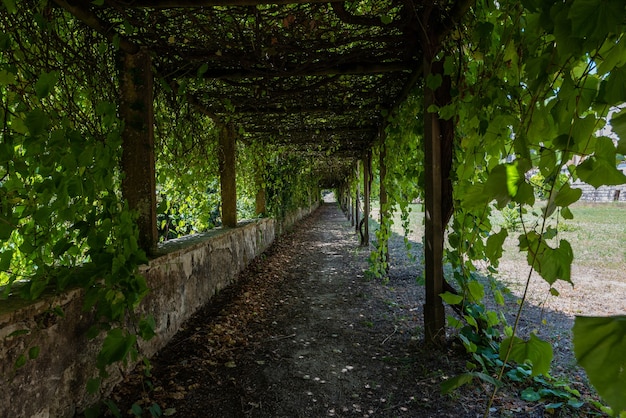 Ogród klasztoru Chrystusa otoczony zielenią w słońcu w Tomar w Portugalii